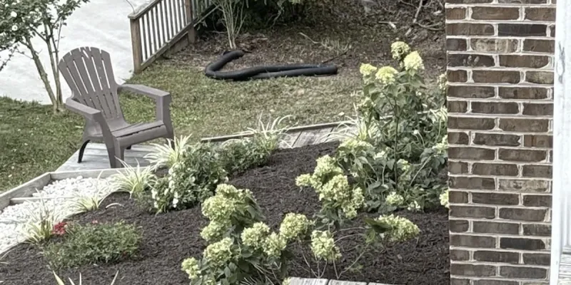 top-rated-pruning-services-in-winchester-va-outdoor-garden-landscaping
