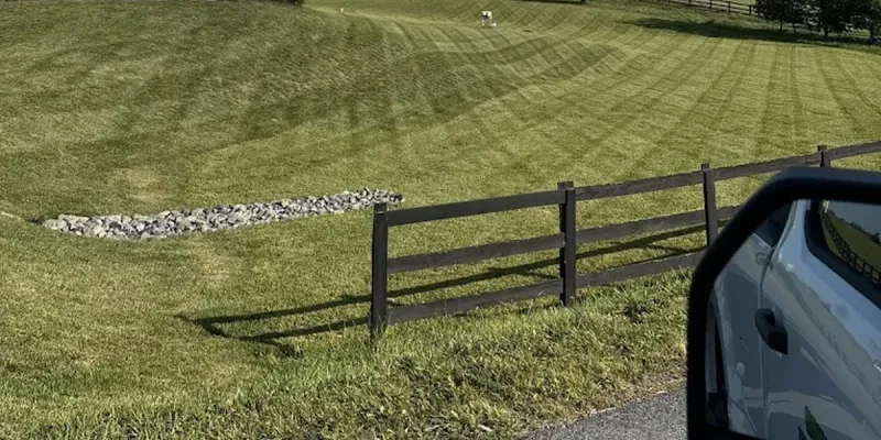 top-rated-beautiful-house-and-lawn-in-winchester-va-sunny-day-2023