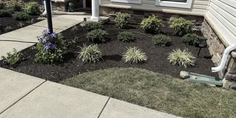 top-rated-pruning-services-in-winchester-va-landscape-maintenance